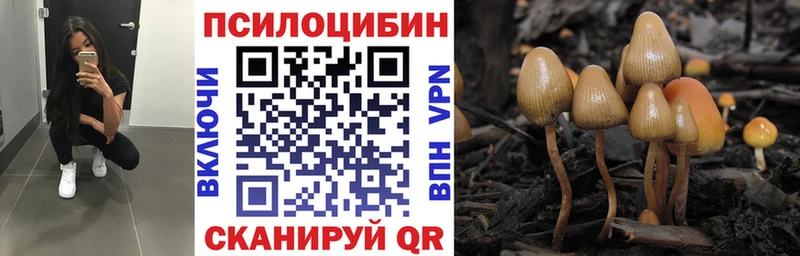 что такое   Нестеровская  Псилоцибиновые грибы мухоморы 